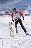 Lenk 2013